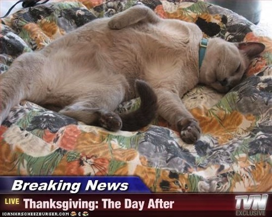 Happy Thanksgiving Meme 7