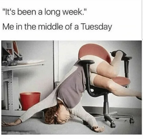 Funny Tuesday Memes 14