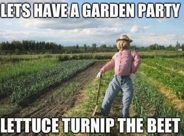 Tuesday Funny Meme