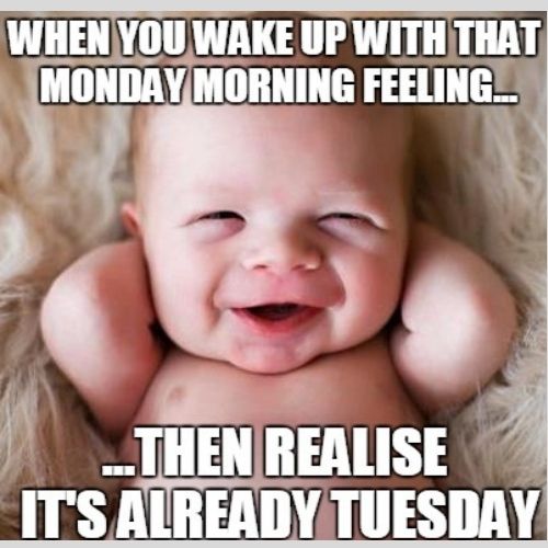 Funny Tuesday Memes 8