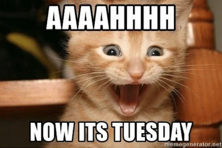 Tuesday Memes