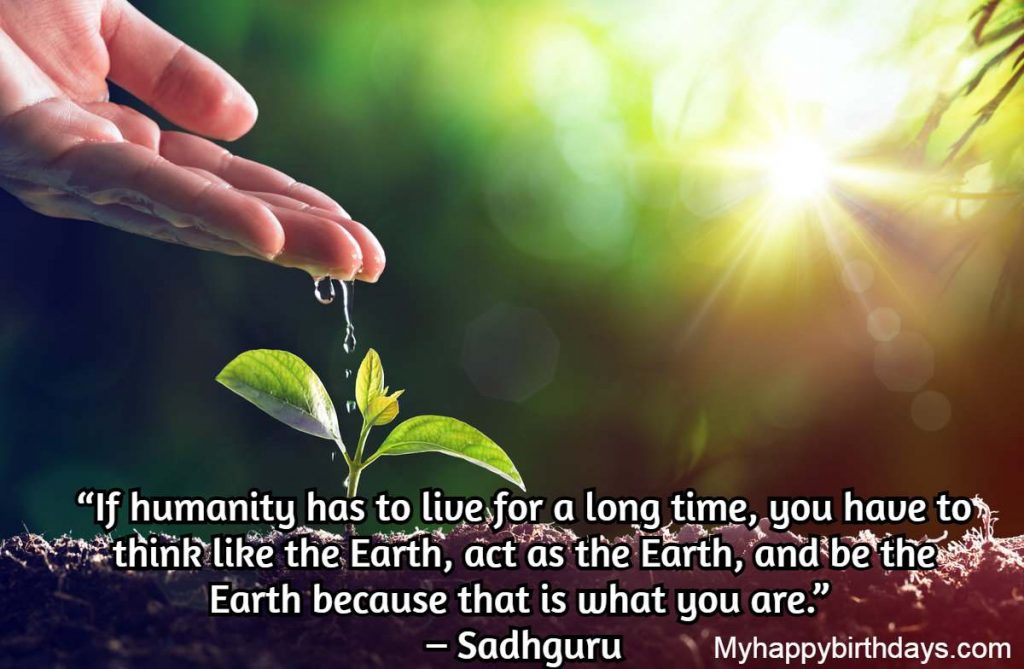 World Environment Day Quotes 