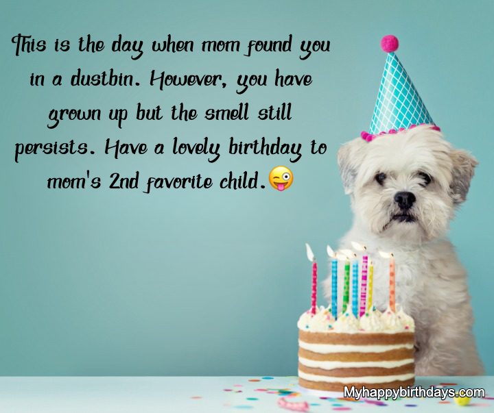 235 Heart Touching Birthday Wishes For Sister, Messages, Quotes