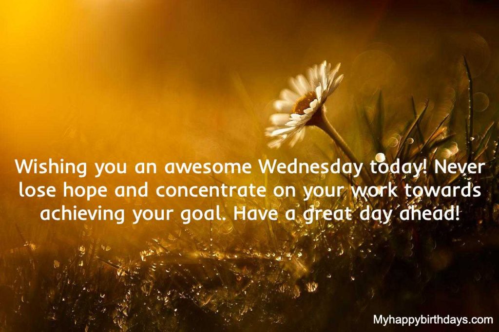 Wednesday Wishes