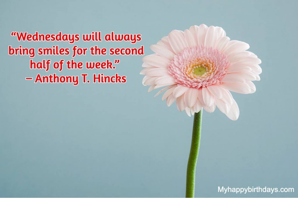 Quotes About Wednesday