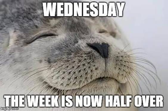 Happy Wednesday Meme
