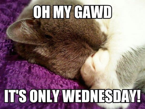 Wet Wednesday Meme 