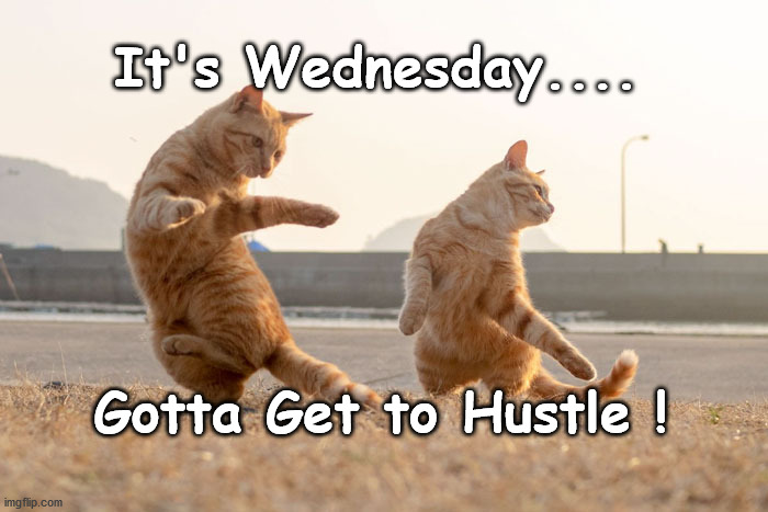 It's Wednesday Meme With Cats