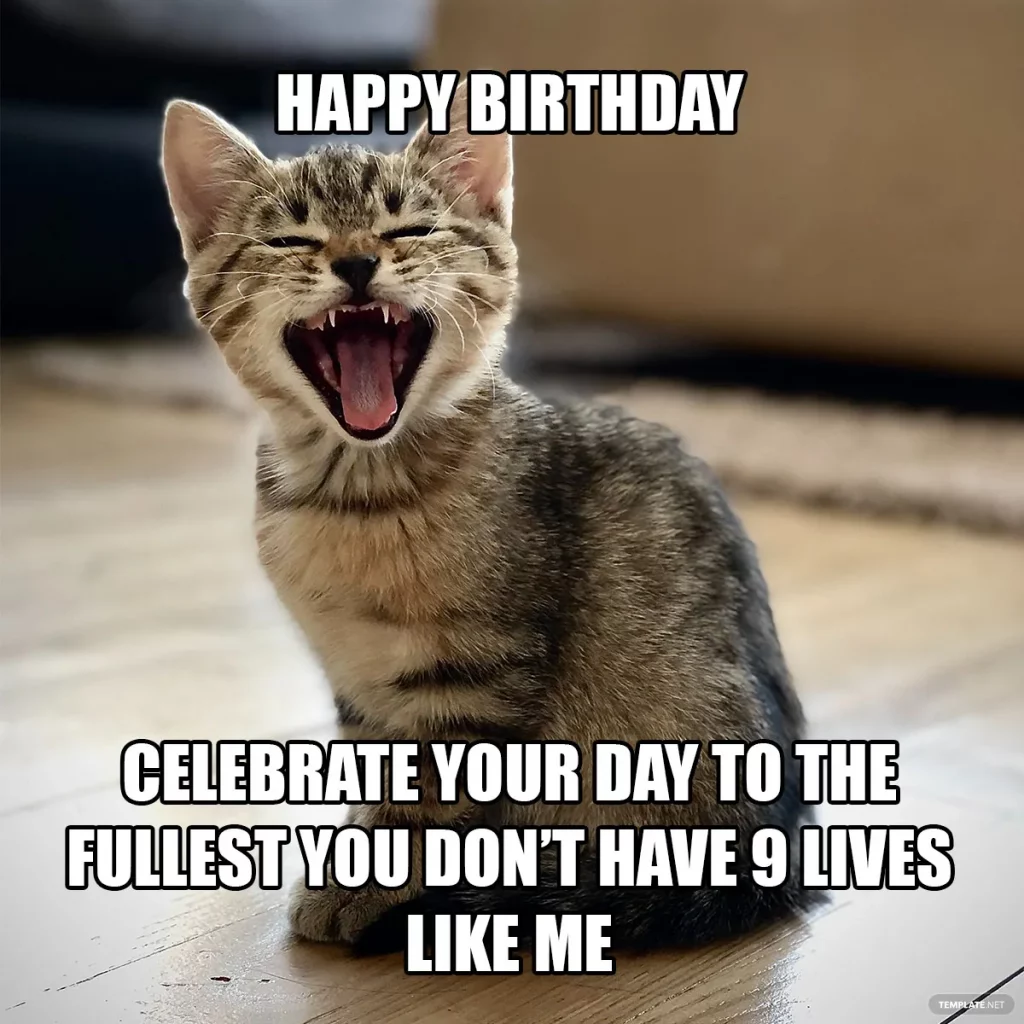 Happy Birthday Cat Meme For Her 26