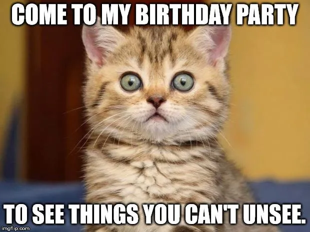 Happy Birthday Cat Meme For Her 29