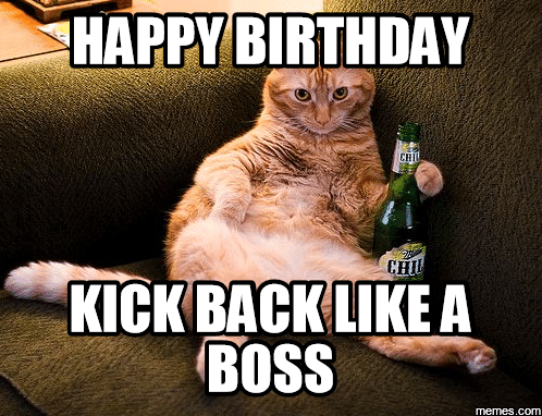 Happy Birthday Cat Meme For Him