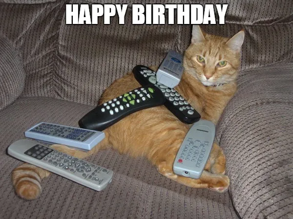 Happy Birthday Cat Meme For Her 33