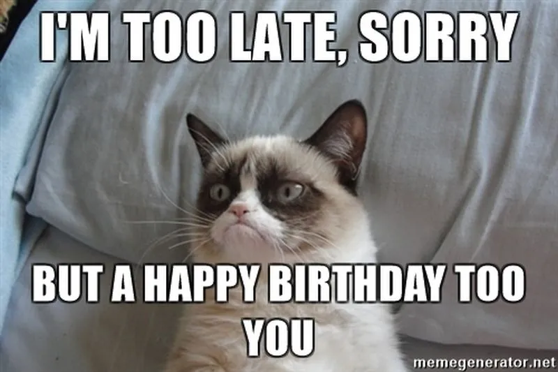 Happy Birthday Cat Meme For Her 34