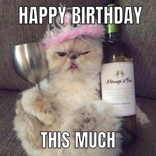 Free Happy Birthday Cat Meme