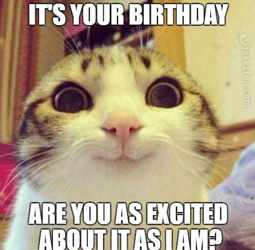 Funny Birthday Cat Meme