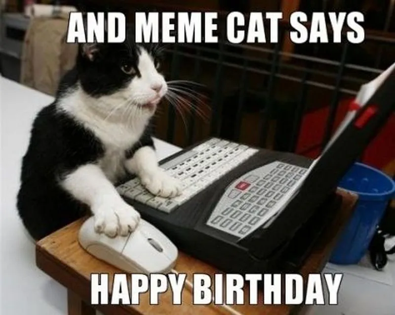 Hilarious Happy Birthday Cat Meme