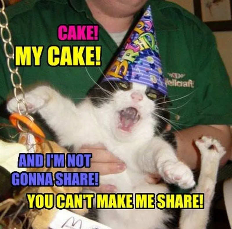 Happy Birthday Cate Memes 7