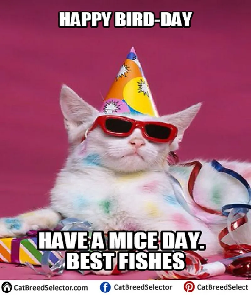 Happy Birthday Cate Memes 8