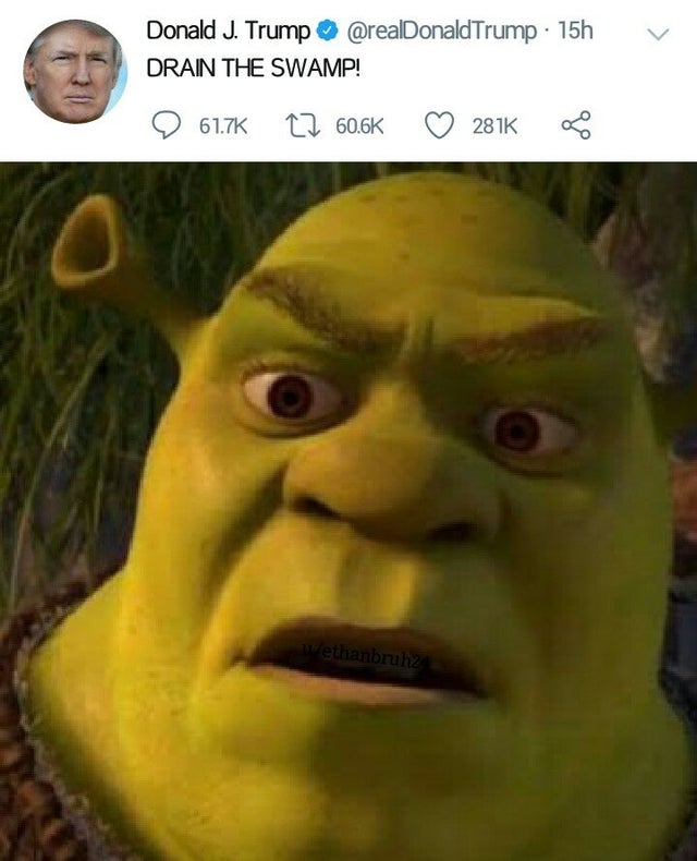 20 Dank Shrek Memes To Commemorate 20 Years Of Shrek - Memebase - Funny Memes