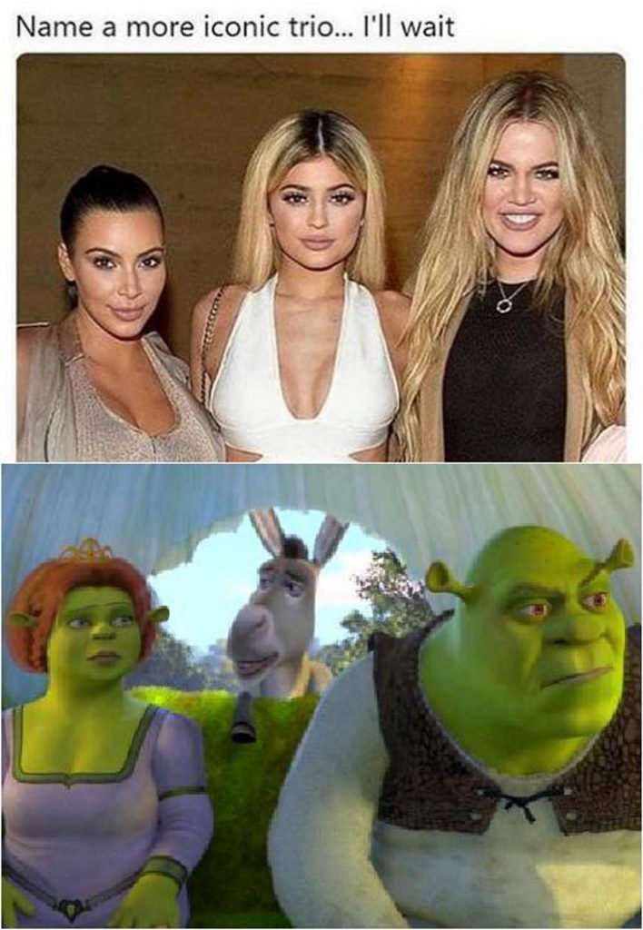 150+ Funny Shrek Memes For True Ogres (And Donkeys) – FandomSpot