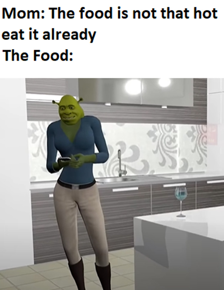 Shrek Memes Funny