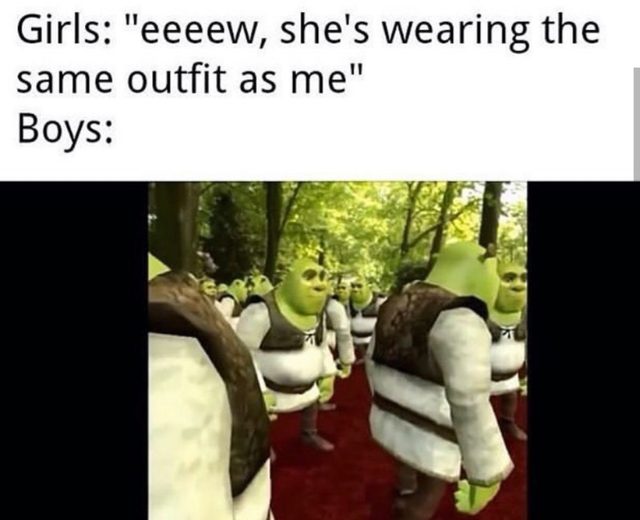 150+ Funny Shrek Memes For True Ogres (And Donkeys) – FandomSpot