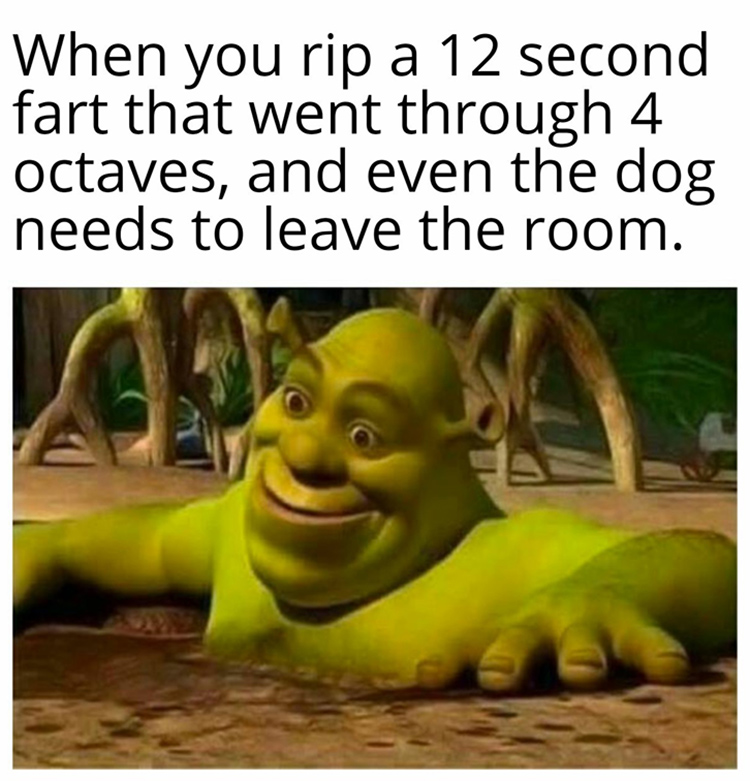 Shrek Memes 5