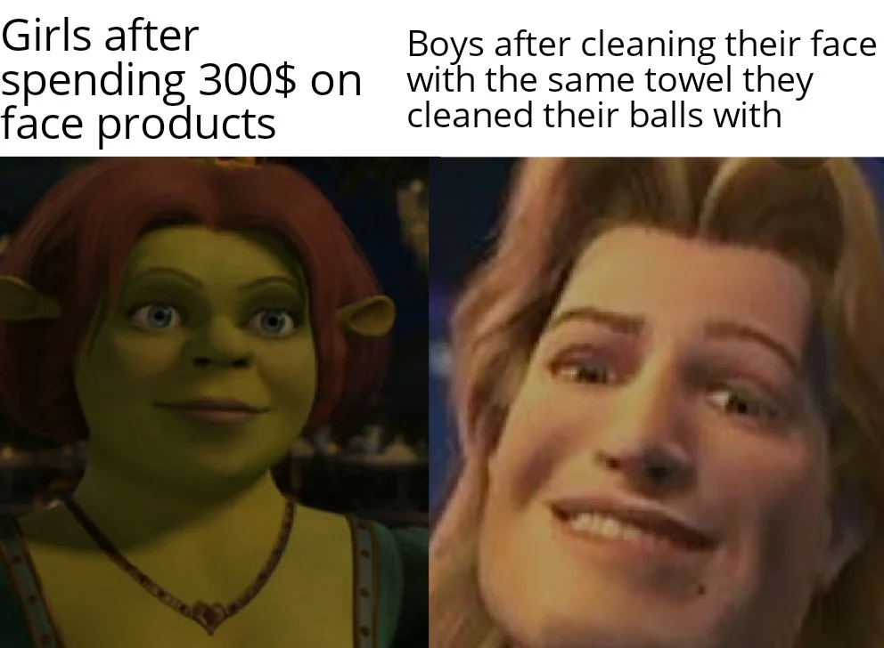 Shrek Memes 7