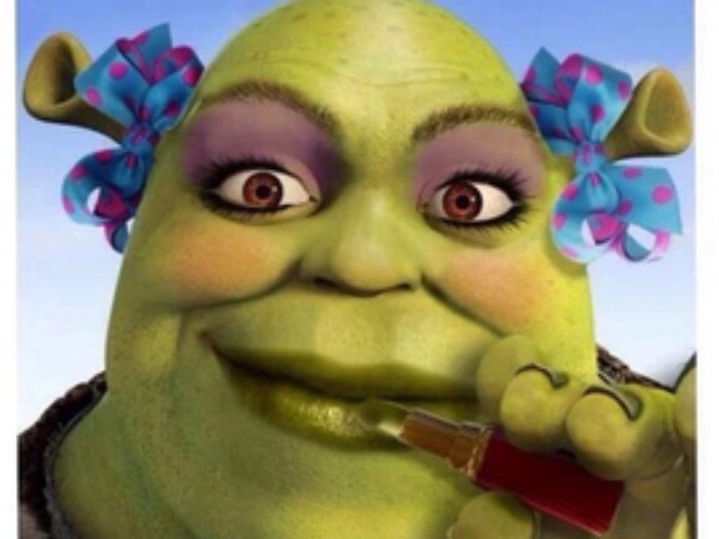 Shrek Memes 8