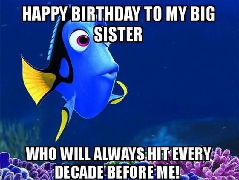 happy birthday to my big sister meme