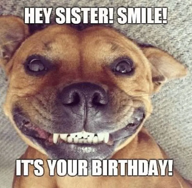 sister smile It's your birthday meme