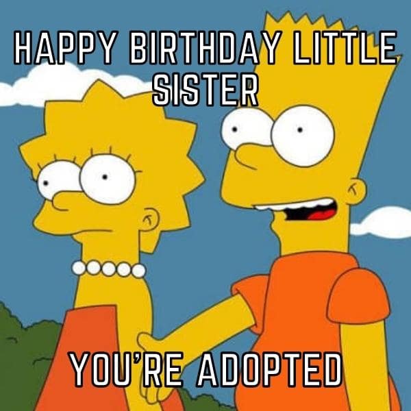 Happy Birthday Sister Meme 6