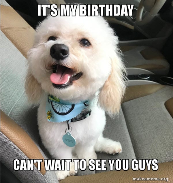 its my birthday memes 17