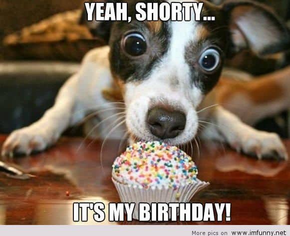 Birthday quotes it's my birthday meme