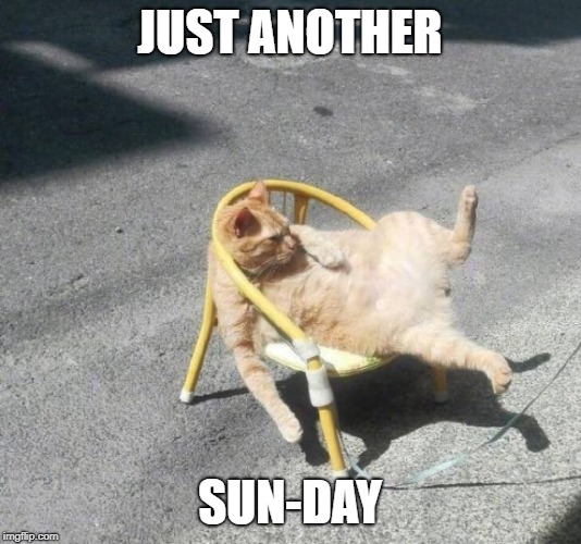 45+ Happy Sunday Memes - Best Funny Sunday Memes