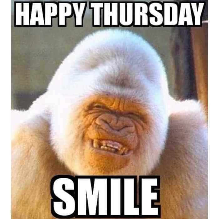 Funny Thursday memes