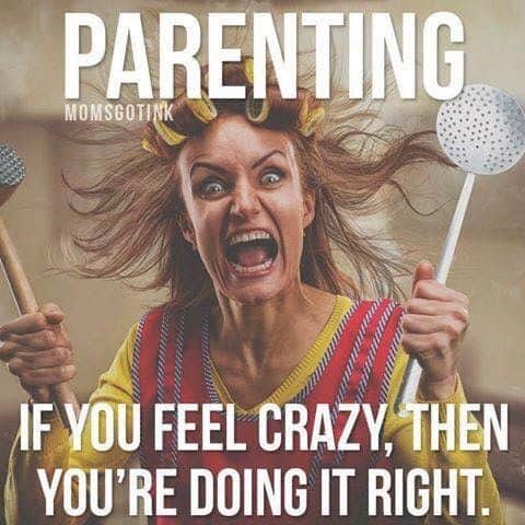 parenting mom meme